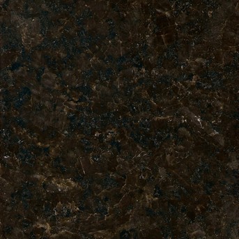 Indian Black Pearl