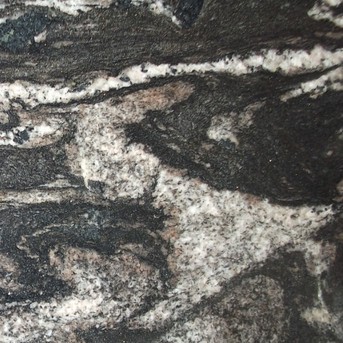 Nre Forest Black